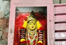 श्री बड़ी माता का नव भजन “मेरी बड़ी माता—दर्शन की बलिहारी” हुआ रिलीज